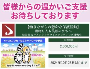 クラウドファンディング型ふるさと納税にご支援をお願い致します。秋田県で収容される犬猫の殺処分をゼロにするため、２回目の挑戦をさせていただくことになりました。挑戦は2024年10月23日まで、残り2日となりました。命のバトンを繋ぎ不幸な犬猫を減らす活動を継続出来ますよう、どうかご寄付でご支援をお願い致します。こちらの内容をシェア拡散で応援もよろしくお願い致します。※秋田県内にお住まいの方もご寄付をすることで税金の控除が受けられます。ご支援ページURLは　https://www.furusato-tax.jp/gcf/3126検索するには　🔍 ふるさとチョイス 第２弾 いぬねこネットワーク秋田ふるさと納税で支援の手順①秋田県のプロジェクトページにアクセス　https://www.furusato-tax.jp/gcf/3126②お申込み手続きを行う【ふるさと納税で応援】をクリック③寄付金額入力ページ　金額を入力し【このプロジェクトへ寄付する】　をクリック④ふるさとチョイス　ログイン画面　会員登録 → 新規登録、または他サービスのID　を利用してログイン　⑤ページの案内順に手続きを進める⑥お支払い方法の選択　対応している決済方法　クレジットカード払い、Amazon Pay　PayPay、d払い、au PAY、楽天ペイ　メルペイ、あと払い（ペイディ）　ソフトバンクまとめて支払い、PayPal　auかんたん決済、ネットバンク支払い　コンビニ支払い、ペイジー支払い　郵便振替（ふるさとチョイス発行）　銀行振込（GMOあおぞらネット銀行）⑦ご寄付完了