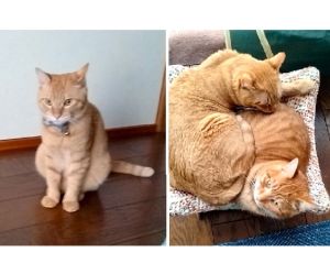 ぶらん（秋田市）三ヶ月違いの弟とらぶらぶです!さすがお兄ちゃん