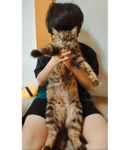 もずく（由利本荘市）あっという間のうちの子記念日です。元気に賑やかに育ってくれて、家族みんなを幸せにしてくれて、ありがとうでいっぱいです。出会わせてくれた皆さまに感謝です。